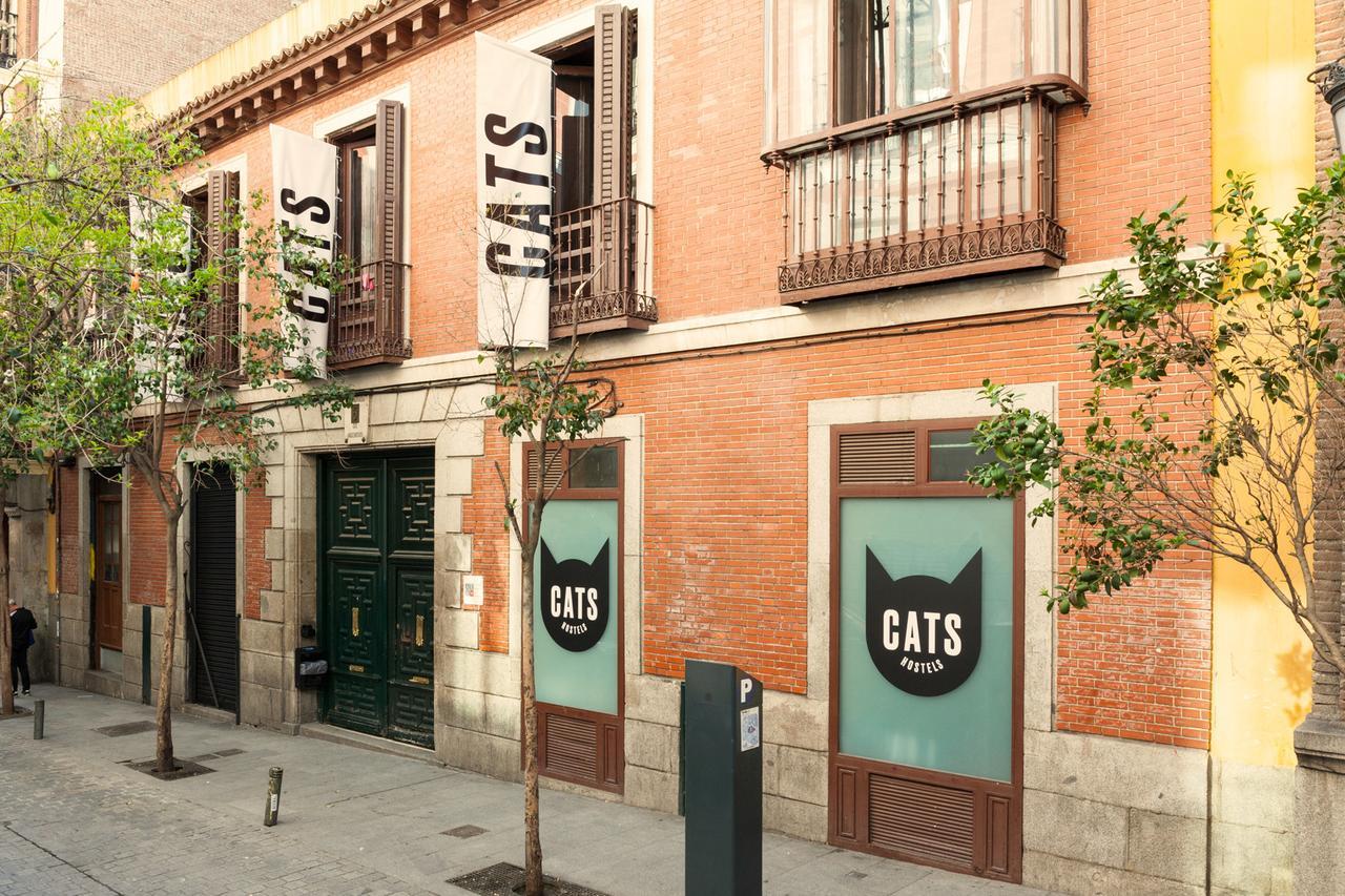 Cats Hostel Madrid Sol Eksteriør billede